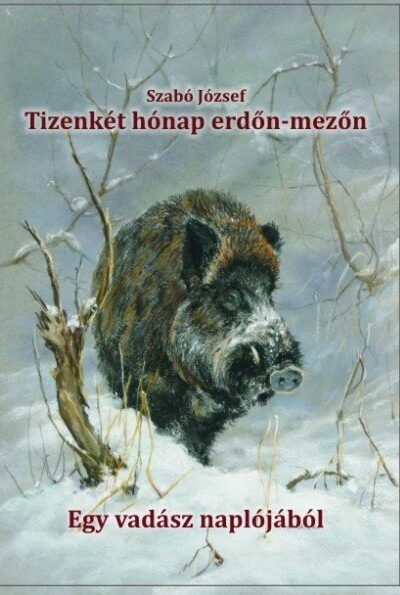 Tizenkét hónap erdőn–mezőn
